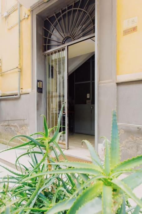 Mann House Napoli Lägenhet Exteriör bild